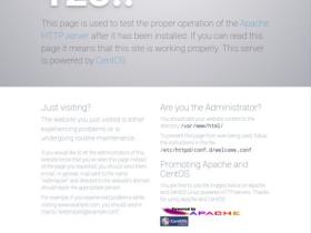 网站打开出现testing123怎么解决